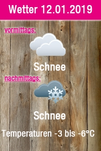 Wetter 12.01.2019