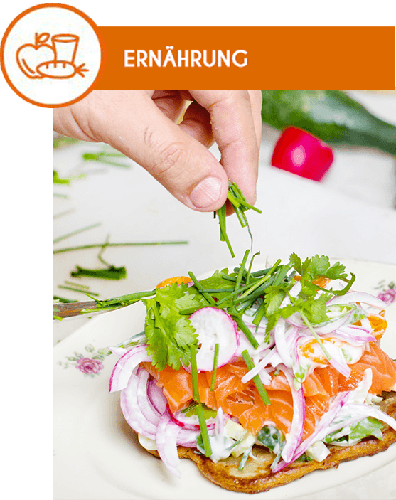 INTERSPORT_FitGesund_Food INTERSPORT_FitGesund_Food