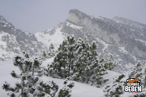 2020 01 11 Garmisch0065