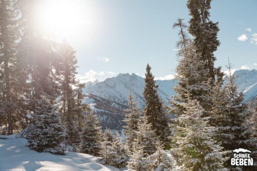 Zillertal-Arena Gerlos SB 11
